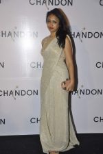 Surily Goel at Moet Hennesey launch of Chandon wines made now in India in Four Seasons, Mumbai on 19th Oct 2013